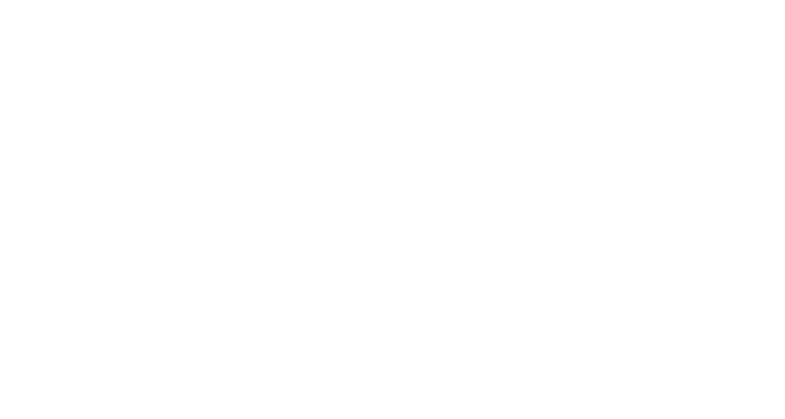 Champions Sports Academy Logo