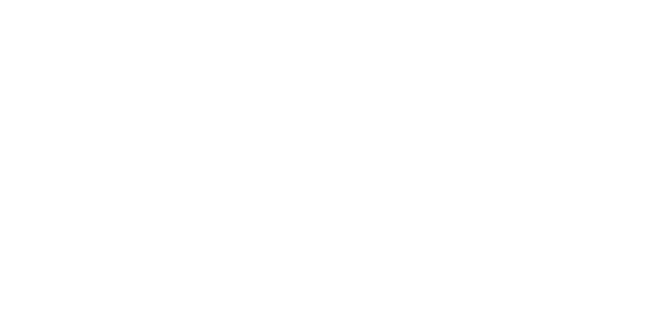 sportsbarn logo